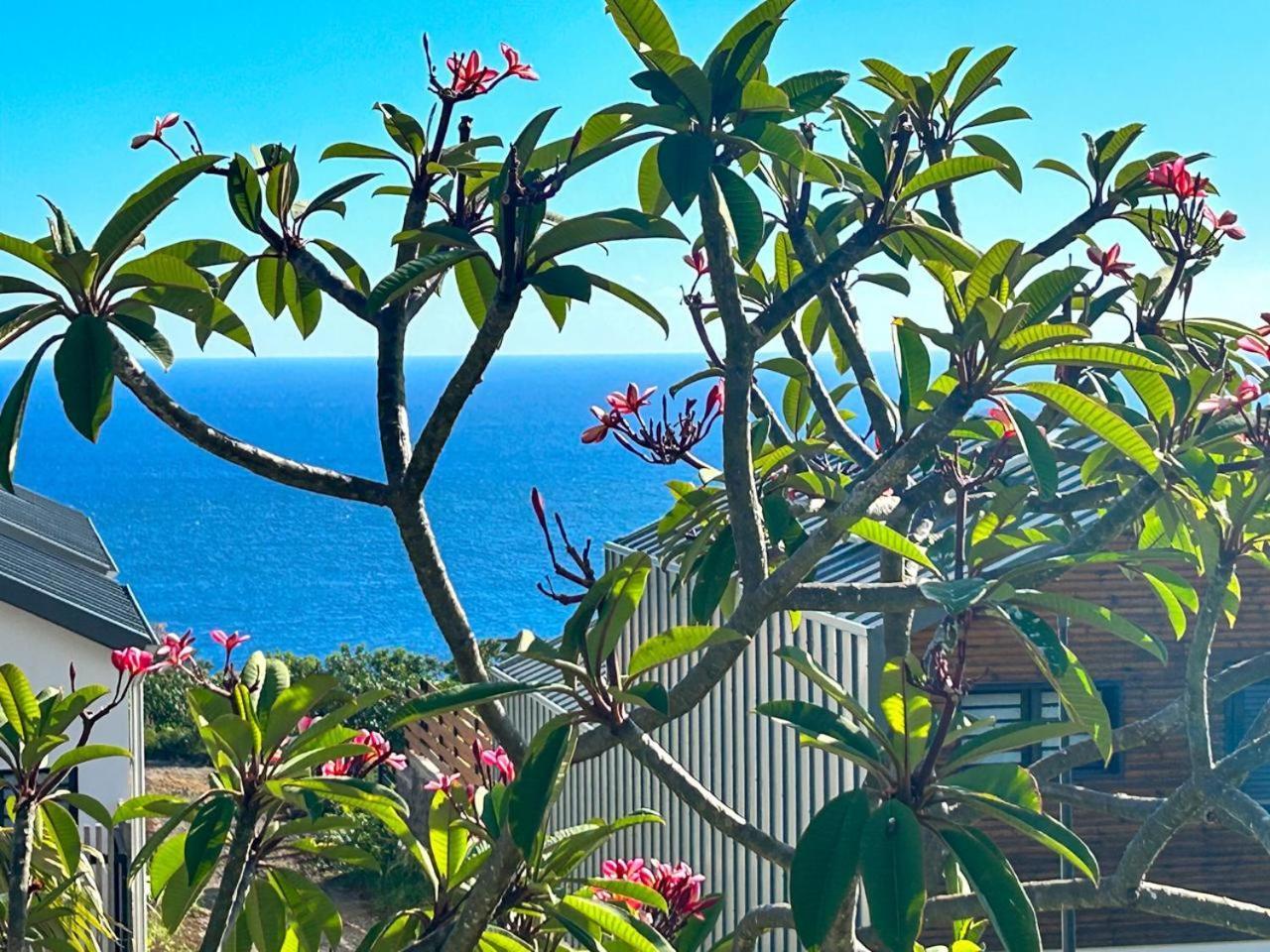 Le Reve Bleu Grand Anse Apartment Petite-Ile Ngoại thất bức ảnh